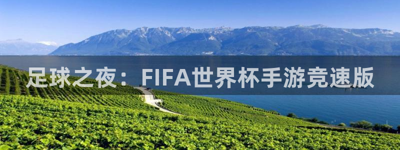 2026世界杯赛：足球之夜：FIFA世界杯手游竞速版
