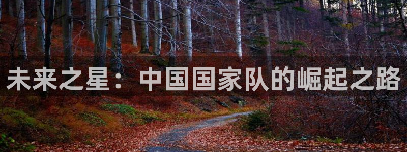 世界杯足球赛2026赛程时间：未来之星：中国国家队的崛起之路