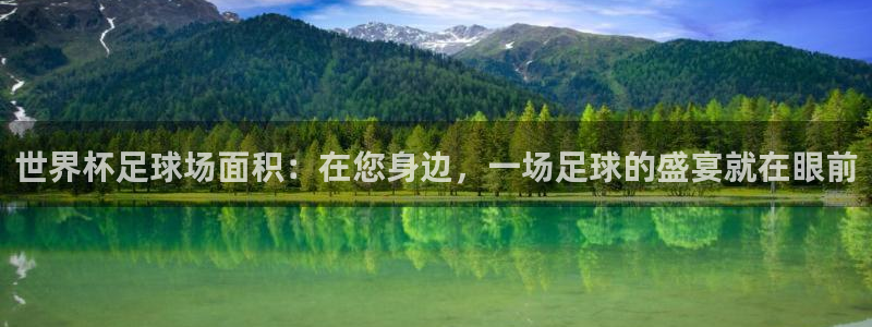 足球杯：世界杯足球场面积：在您身边，一场足球的盛宴就在眼前