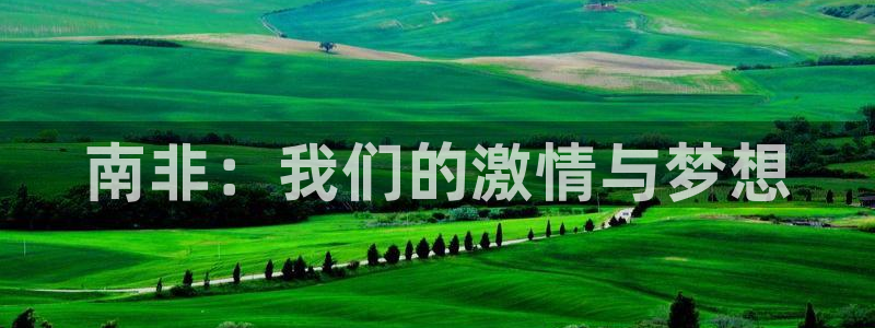 世界杯 2026：南非：我们的激情与梦想
