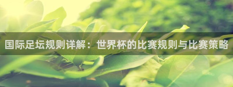 2026年世界杯赛程时间表格：国际足坛规则详解：世界杯的比赛规则与比赛策略