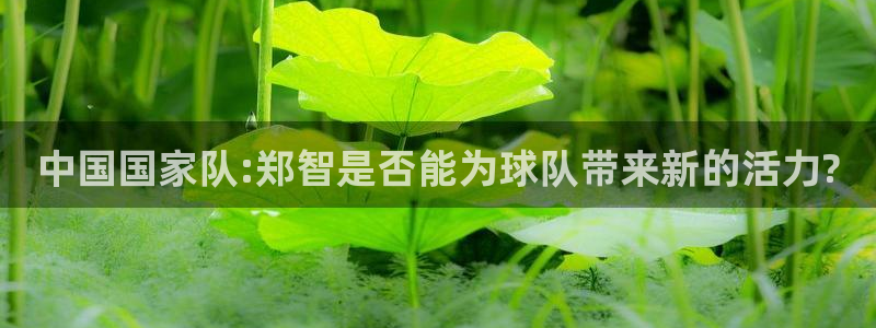 世界杯预选赛赛程表：中国国家队:郑智是否能为球队带来新的活力?