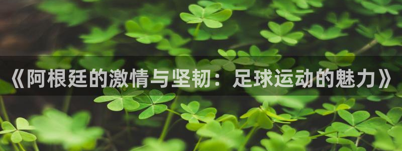 2026葡萄牙杯赛程表：《阿根廷的激情与坚韧：足球运动的魅力》