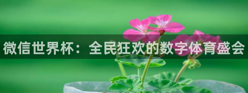 世界杯直播网站：微信世界杯：全民狂欢的数字体育盛会