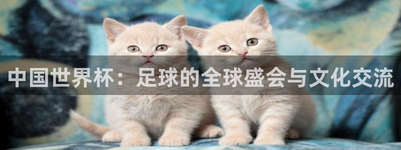 今天所有足球赛程表：中国世界杯：足球的全球盛会与文化交流