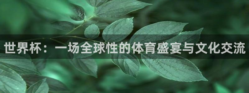 2026葡萄牙杯赛程表：世界杯：一场全球性的体育盛宴与文化交流