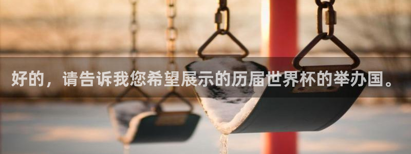 2006年世界杯冠军：好的，请告诉我您希望展示的历届世界杯的举办国。