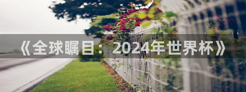 世界杯48支球队赛制：《全球瞩目：2024年世界杯》