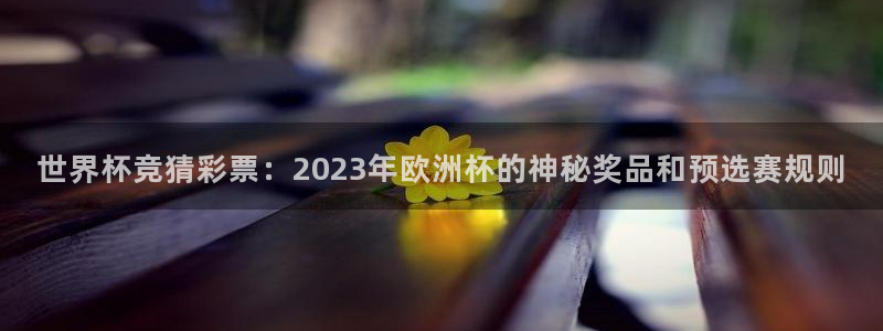 法国杯2026赛程表：世界杯竞猜彩票：2023年欧洲杯的神秘奖品和预选赛规则