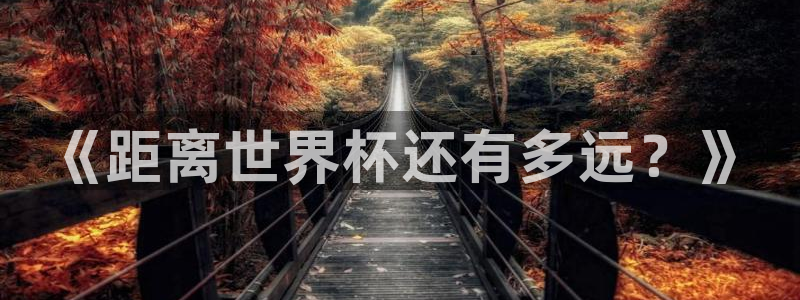 世界杯2026赛程时间表格：《距离世界杯还有多远？》